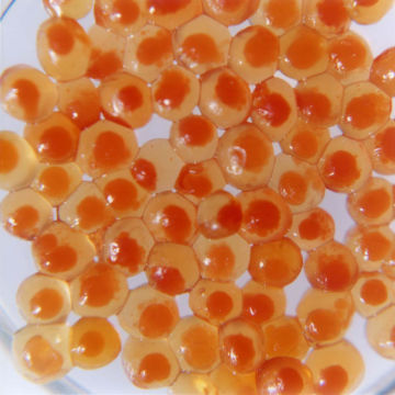 Rinko KAWAUCHI (*1972, Japan): Untitled, from the series 'AILA' – Christophe Guye Galerie