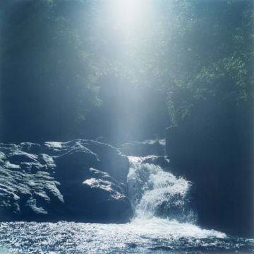 Rinko KAWAUCHI (*1972, Japan): Untitled, from the series 'AILA' – Christophe Guye Galerie