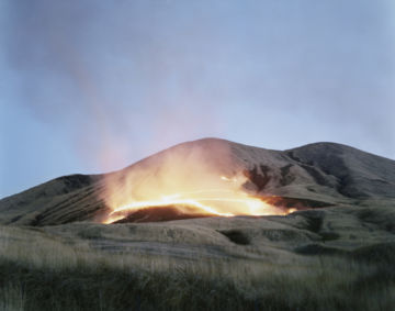 Rinko KAWAUCHI (*1972, Japan): Untitled, from the series 'Ametsuchi' – Christophe Guye Galerie