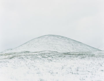 Rinko KAWAUCHI (*1972, Japan): Untitled, from the series 'Ametsuchi' – Christophe Guye Galerie