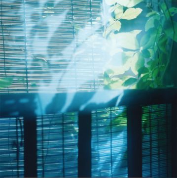 Rinko KAWAUCHI (*1972, Japan): Untitled, from the series 'Cui Cui' – Christophe Guye Galerie