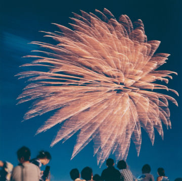 Rinko KAWAUCHI (*1972, Japan): Untitled, from the series 'HANABI' – Christophe Guye Galerie