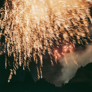 Rinko KAWAUCHI (*1972, Japan): Untitled, from the series 'HANABI' – Christophe Guye Galerie