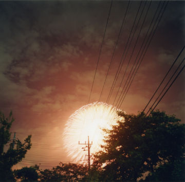 Rinko KAWAUCHI (*1972, Japan): Untitled, from the series 'HANABI' – Christophe Guye Galerie