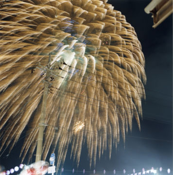 Rinko KAWAUCHI (*1972, Japan): Untitled, from the series 'HANABI' – Christophe Guye Galerie