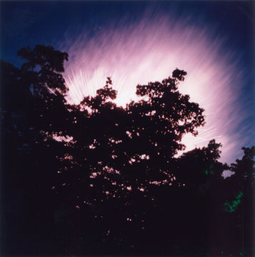 Rinko KAWAUCHI (*1972, Japan): Untitled, from the series 'HANABI' – Christophe Guye Galerie