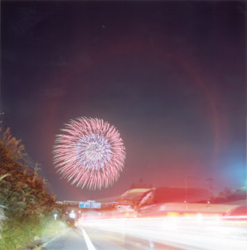 Rinko KAWAUCHI (*1972, Japan): Untitled, from the series 'HANABI' – Christophe Guye Galerie