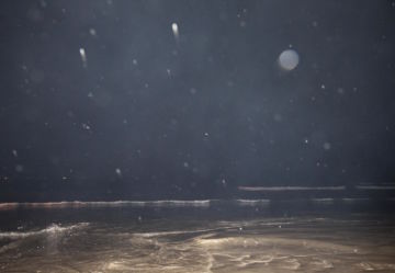 Rinko KAWAUCHI (*1972, Japan): Untitled, from the series 'Halo' – Christophe Guye Galerie