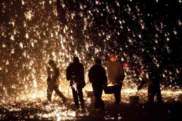 Rinko KAWAUCHI (*1972, Japan): Untitled, from the series 'Halo' – Christophe Guye Galerie