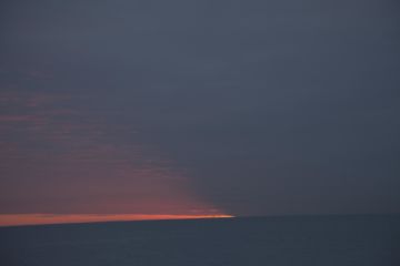 Rinko KAWAUCHI (*1972, Japan): Untitled, from the series 'Halo' – Christophe Guye Galerie