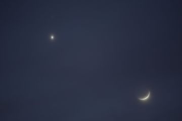 Rinko KAWAUCHI (*1972, Japan): Untitled, from the series 'Halo' – Christophe Guye Galerie