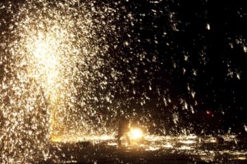 Rinko KAWAUCHI (*1972, Japan): Untitled, from the series 'Halo' – Christophe Guye Galerie