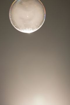 Rinko KAWAUCHI (*1972, Japan): Untitled, from the series 'Halo' – Christophe Guye Galerie