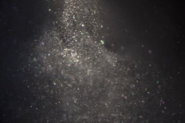 Rinko KAWAUCHI (*1972, Japan): Untitled, from the series 'Halo' – Christophe Guye Galerie