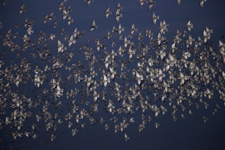 Wabi Sabi – Christophe Guye Galerie