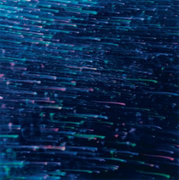 Rinko KAWAUCHI (*1972, Japan): Untitled, from the series 'Illuminance' – Christophe Guye Galerie