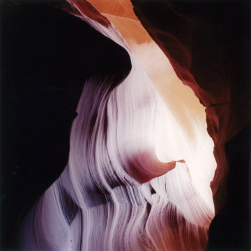 Rinko KAWAUCHI (*1972, Japan): Untitled, from the series 'Illuminance' – Christophe Guye Galerie