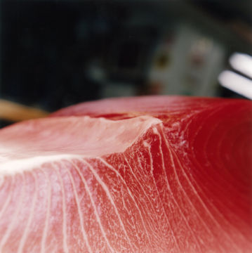 Rinko KAWAUCHI (*1972, Japan): Untitled, from the series 'Illuminance' – Christophe Guye Galerie