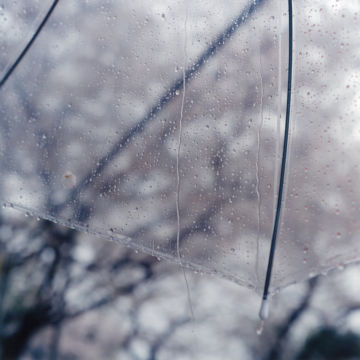 Rinko KAWAUCHI (*1972, Japan): Untitled, from the series 'Illuminance' – Christophe Guye Galerie