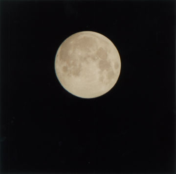 Rinko KAWAUCHI (*1972, Japan): Untitled, from the series 'Illuminance' – Christophe Guye Galerie