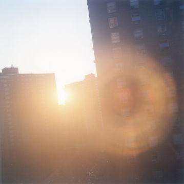 Rinko KAWAUCHI (*1972, Japan): Untitled, from the series 'Illuminance' – Christophe Guye Galerie