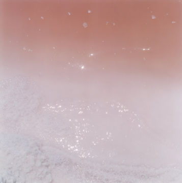 Rinko KAWAUCHI (*1972, Japan): Untitled, from the series 'Illuminance' – Christophe Guye Galerie