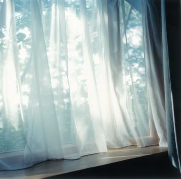 Rinko KAWAUCHI (*1972, Japan): Untitled, from the series 'Illuminance' – Christophe Guye Galerie