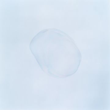 Rinko KAWAUCHI (*1972, Japan) : Untitled, from the series 'Illuminance' – Christophe Guye Galerie