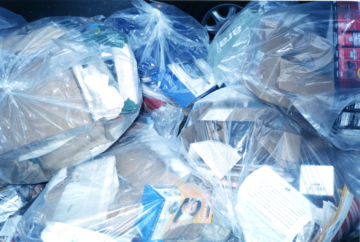 Rinko KAWAUCHI (*1972, Japan): Untitled, from the series 'Illuminance' – Christophe Guye Galerie