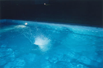 Rinko KAWAUCHI (*1972, Japan): Untitled, from the series 'Illuminance' – Christophe Guye Galerie