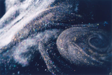 Rinko KAWAUCHI (*1972, Japan): Untitled, from the series 'Illuminance' – Christophe Guye Galerie