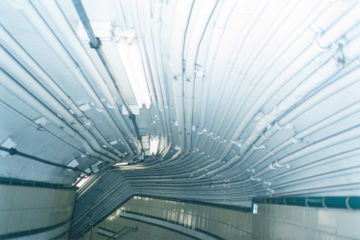 Rinko KAWAUCHI (*1972, Japan): Untitled, from the series 'Illuminance' – Christophe Guye Galerie