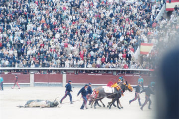 Rinko KAWAUCHI (*1972, Japan): Untitled, from the series 'Illuminance' – Christophe Guye Galerie