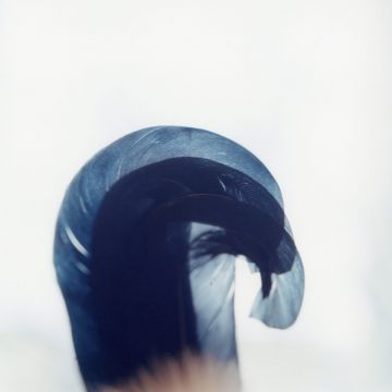 Rinko KAWAUCHI (*1972, Japan): Untitled, from the series 'Search for the sun' – Christophe Guye Galerie