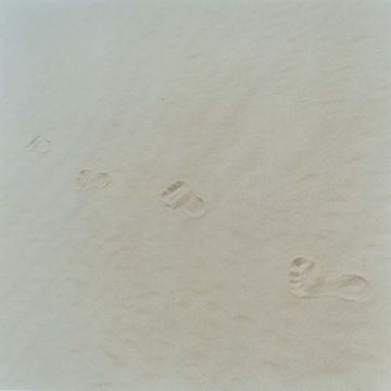 Rinko KAWAUCHI (*1972, Japan): Untitled, from the series ‚Semear‘ – Christophe Guye Galerie