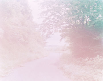 Rinko KAWAUCHI (*1972, Japan): Untitled, from the series 'The river embraced me' – Christophe Guye Galerie