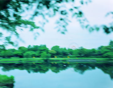 Rinko KAWAUCHI (*1972, Japan): Untitled, from the series 'The river embraced me' – Christophe Guye Galerie