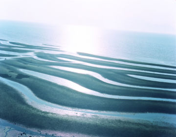 Rinko KAWAUCHI (*1972, Japan): Untitled, from the series 'The river embraced me' – Christophe Guye Galerie