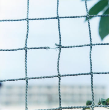 Rinko KAWAUCHI (*1972, Japan): Untitled, from the series 'Utatane' – Christophe Guye Galerie