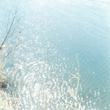 Rinko KAWAUCHI (*1972, Japan): Untitled, from the series 'Utatane' – Christophe Guye Galerie