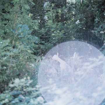 Rinko KAWAUCHI (*1972, Japan): Untitled, from the series 'the eyes, the ears,' – Christophe Guye Galerie