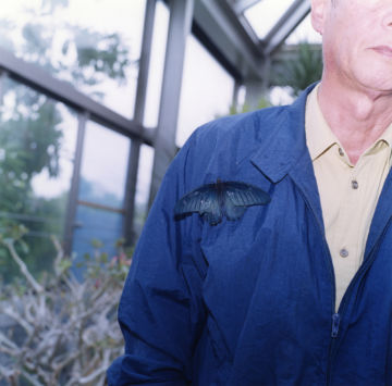 Rinko KAWAUCHI (*1972, Japan): Untitled, from the series 'the eyes, the ears,' – Christophe Guye Galerie