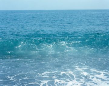 Risaku SUZUKI (*1963, Japan): Between the Sea and the Mountain – Kumano 13, DK-198 – Christophe Guye Galerie