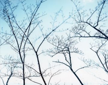 Risaku SUZUKI (*1963, Japan): Between the Sea and the Mountain – Kumano 14,DK-430 – Christophe Guye Galerie