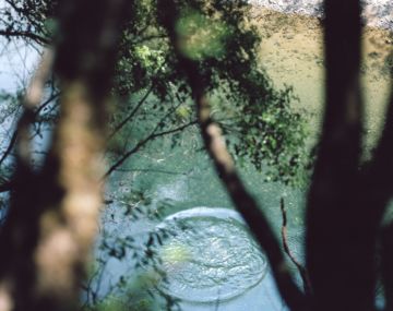 Risaku SUZUKI (*1963, Japan): Between the Sea and the Mountain – Kumano 14, DK-507 – Christophe Guye Galerie