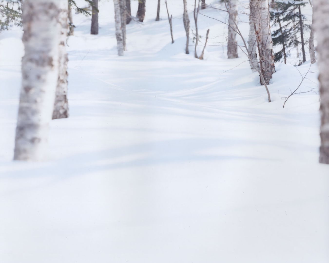 Christophe Guye Galerie Risaku Suzuki White 07 H 122