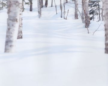 Risaku Suzuki – Christophe Guye Galerie