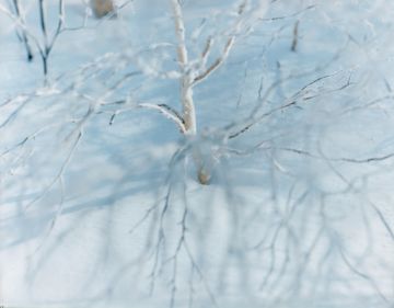 Risaku SUZUKI (*1963, Japan): WHITE 09,H-300 – Christophe Guye Galerie