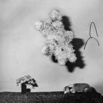 Roger BALLEN (*1950, America/South Africa): Unexpected – Christophe Guye Galerie