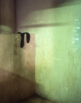 Seba KURTIS (*1974, Argentina): Untitled – Christophe Guye Galerie